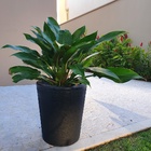 Vaso Planta Polietileno + Suporte Com Rodas 38x33cm Cinza