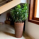 Vaso Plantas + Suporte Polietileno c/ Rodas 55x37cm Azul