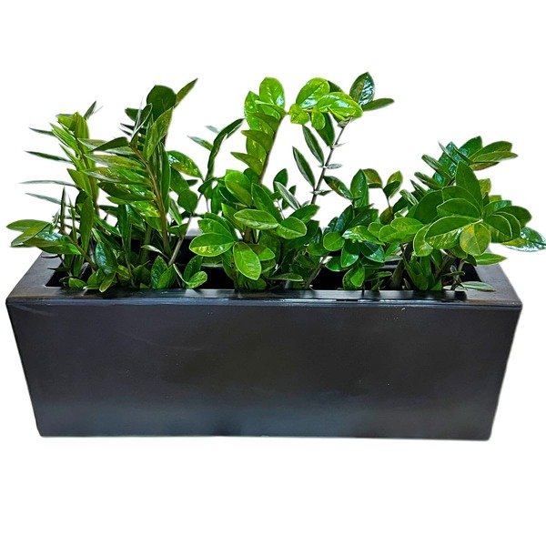 Vaso Plantas Jardineira 80x25cm Floreira Polietileno  Preto