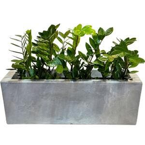 vaso_plantas_jardineira_cachep