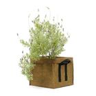 Vaso Plantas Yes We Grow Smartpot Retangular Grande - Marrom