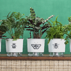 Vaso plast.Autoirrig.Borbolet PP XXcm br