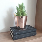 Vaso Plástico Acrilico  Rosa 11x11cm Albano