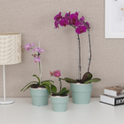 Vaso Plástico Autoirrigável Verde Menta 16,5x15cm OU