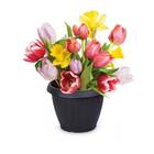 Vaso Plástico Black (31l) Plasnorthon