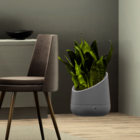 Vaso Plástico Brota Decor Copo de Leite Cimento Grande 40x36,6cm Brota Company