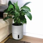 Vaso Plástico Brota Decor Urbi Cimento Médio 25x30cm Brota Company