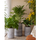 Vaso Plástico com Prato Match Cimento Queimado 42x35,5cm Japi