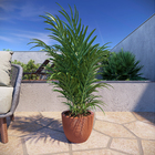 Vaso Plástico Cone Baixo 22 Terracota 22x28cm Vasap