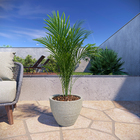 Vaso Plástico Cone Baixo 28 Branco Mármore 28x36cm Vasap