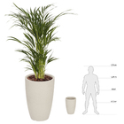 Vaso Plástico Cone Moderno Cimento 55x38cm Japi