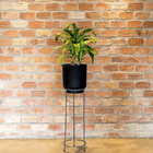 Vaso Plastico Cumbuca Preto 51x50cm Vasap