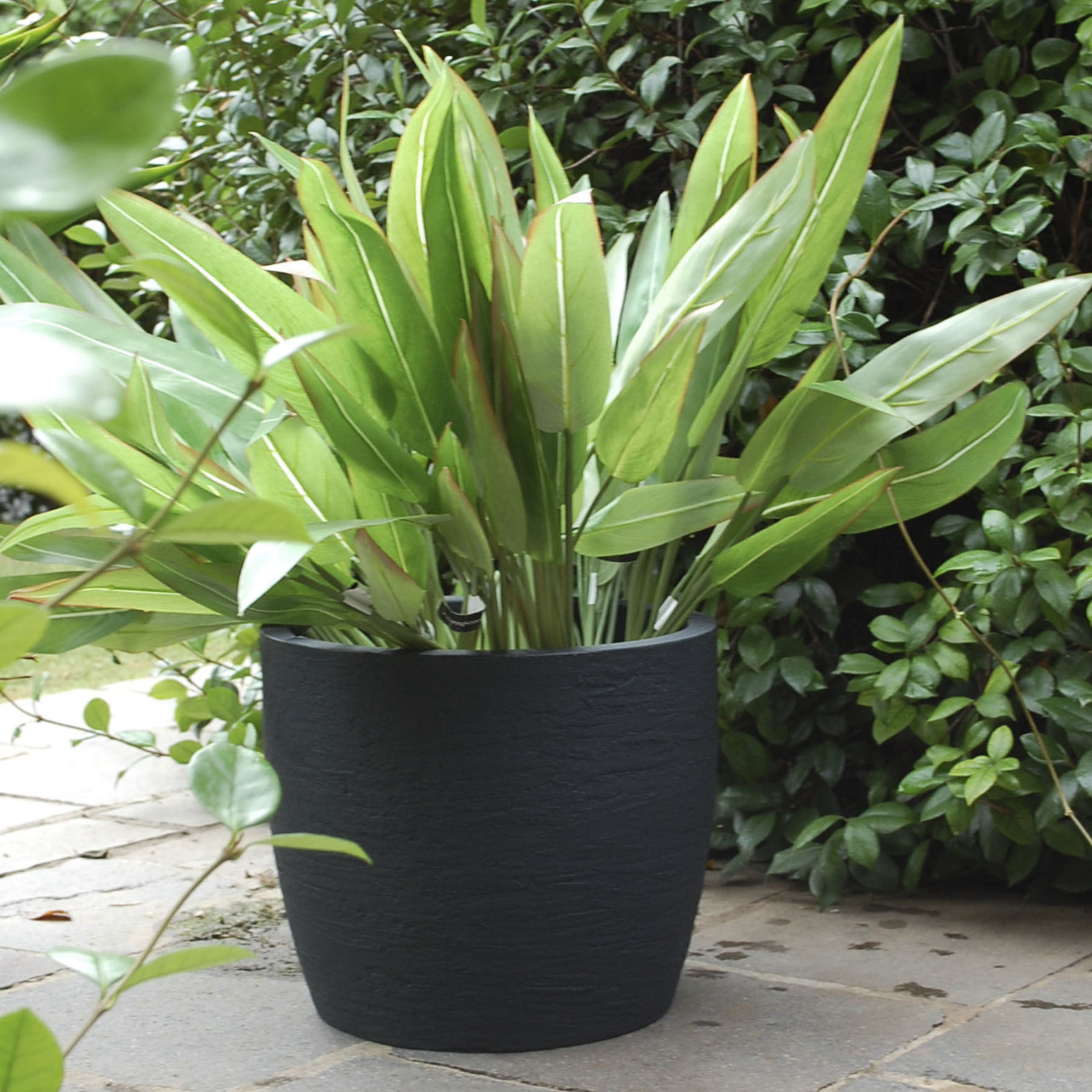 Vaso de Planta Médio em Plástico Europa Japi