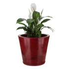 Vaso Plástico Genebra Vermelho Pequeno