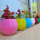 Vaso Plástico Hidropônico Médio (cor Sortida) Tagmon