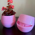 Vaso Plástico Hidropônico Pequeno (cor Sortida) Tagmon