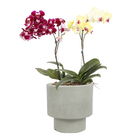 Vaso Plastico Loft 18x18cm Branco Vasart