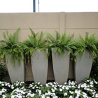 Vaso Plastico Malta Trapezio Granito Pedra 76x43cm Naterial