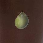 Vaso Plástico Maré Rusty e Verde Grande