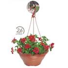 Vaso Plástico Para Pendurar (2,6 L) Cor Telha Injeplastec