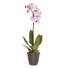 Vaso Plástico Rattan Tabaco 14x16cm Okla