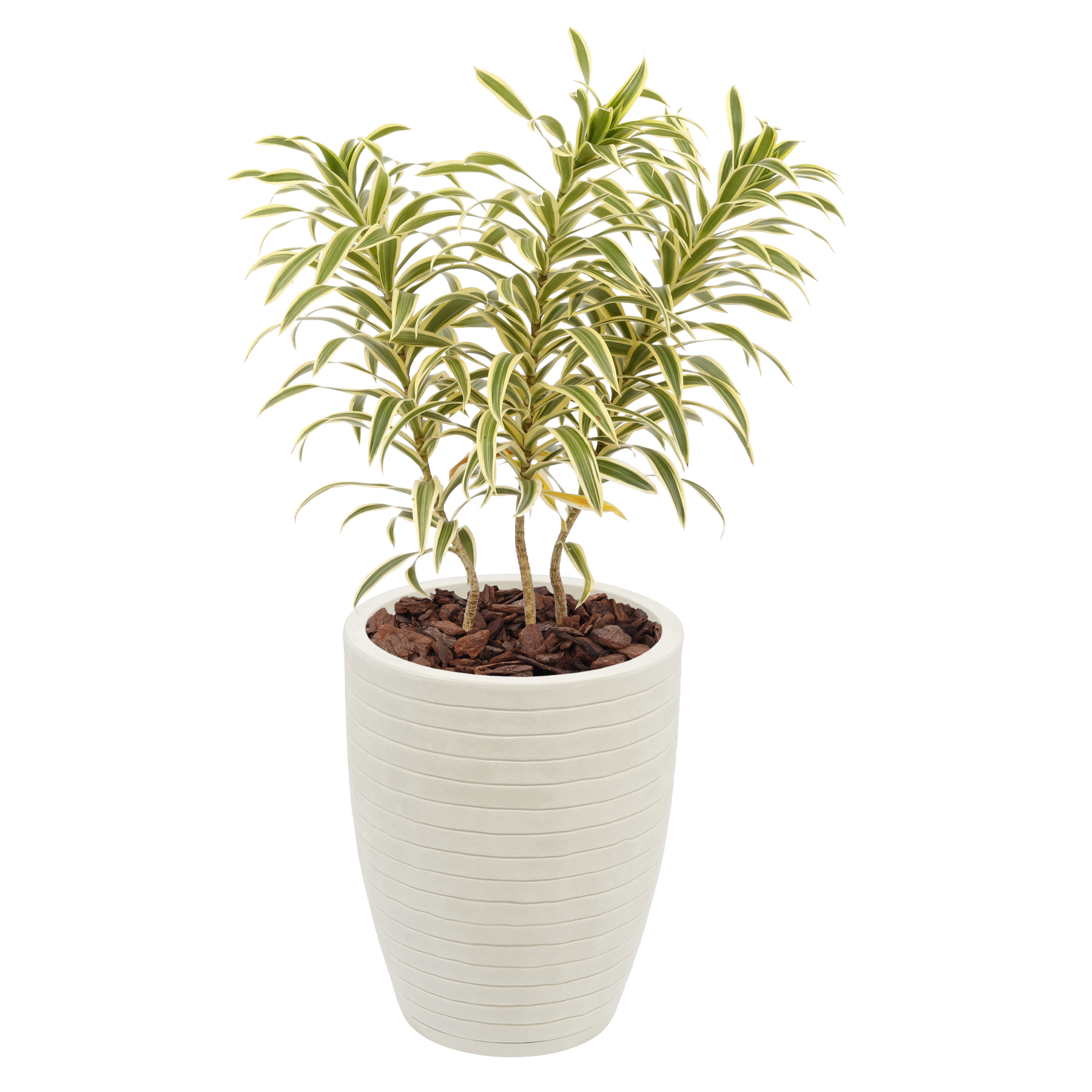 Kit Vasos de Planta em Plástico Relevo Vasart: Ideal para plantio