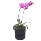 Vaso Plástico Rio Preto 25x25cm Vasart