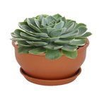 Vaso Plástico Roma Terracota 12x24cm Desli