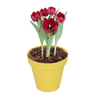 Vaso Plastico Sampa Amarelo Pastel 13x14cm Naterial