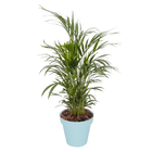 Vaso Plastico Sampa Azul Pastel 19x20cm Naterial