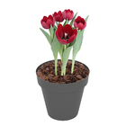 Vaso Plastico Sampa Cinza Pastel 13x14cm Naterial