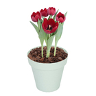 Vaso Plastico Sampa Verde Pastel 13x14cm Naterial