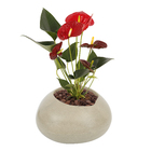 Vaso Plástico Seixo Cinza 19x18cm  Vasart