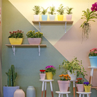 Vaso Plastico Siena Branco  13x14cm Naterial