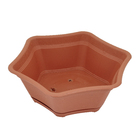 Vaso Plástico Suculenta com Prato Terracota Pequeno