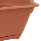 Vaso Plástico Suculenta com Prato Terracota Pequeno