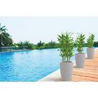 Vaso Plastico Thai 58 Cm Concreto