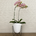 Vaso Plástico Tryas 18x17cm Branco Floridis