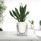 Vaso Plástico Tryas 18x17cm Branco Floridis