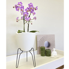 Vaso Plástico Tryas 18x17cm Branco Floridis