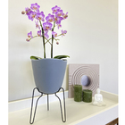 Vaso Plástico Tryas 18x17cm Cinza Floridis