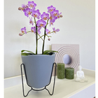 Vaso Plástico Tryas 18x17cm Cinza Floridis