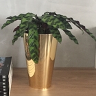 Vaso Plástico Tulipa Dourado 21x13cm Albano