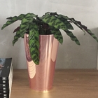 Vaso Plástico Tulipa Rosa 21x13cm Albano