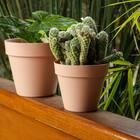 Vaso Plástico Unique 16 (16x14cm) Rosa Japi