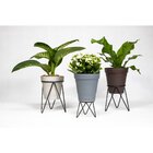 Vaso Plastico Veneza Cinza 15x15cm West Garden