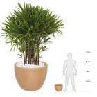 Vaso Plastico Verona Antique Terracota 30x40cm Naterial