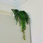 Vaso Prateado Cerâmico Com Trabalhado E Suculenta Artificial