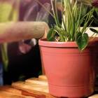 Vaso Primavera Nº3 Cor Cerâmica (3l) Nutriplan