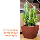 Vaso Quadrado Apolo Café 45 Terrano